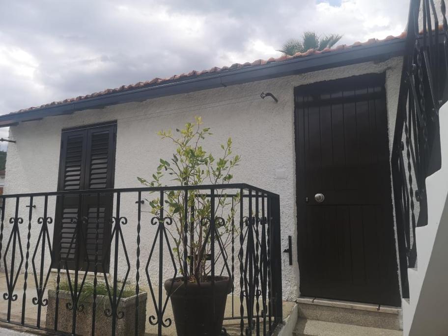 Casa Girao - Alojamento Local Termas de Sao Pedro do Sul Exteriör bild